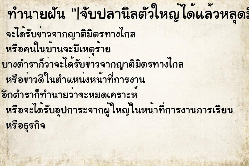 ทำนายฝันทำนายฝัน|จับปลานิลตัวใหญ่ได้แล้วหลุดมือไป